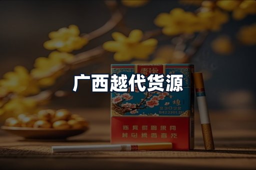 广西越代货源